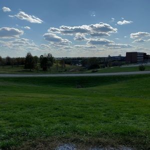 Meet your Posher, Monica